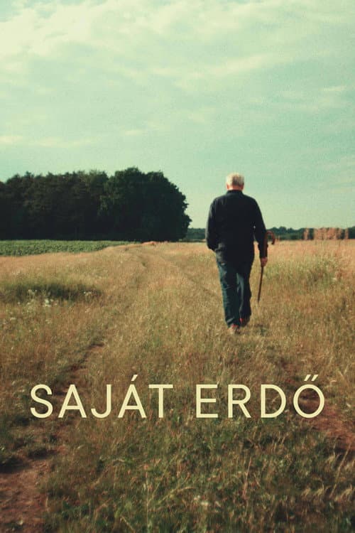 Постер: Saját erdő