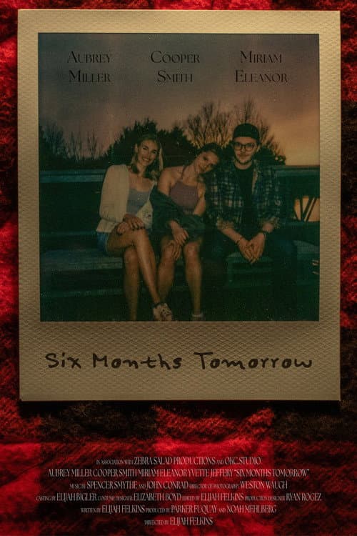 Постер: Six Months Tomorrow