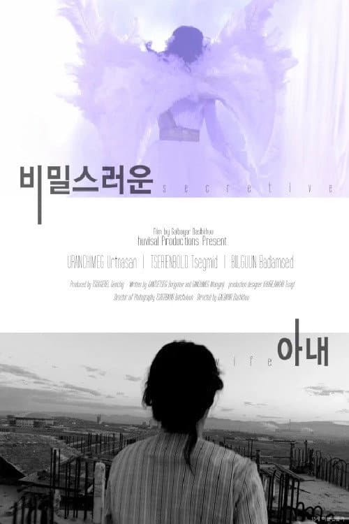 Постер: 비밀스러운 아내