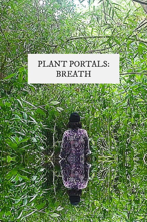 Постер: plant portals: breath