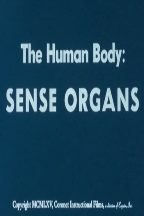 Постер: The Human Body: Sense Organs