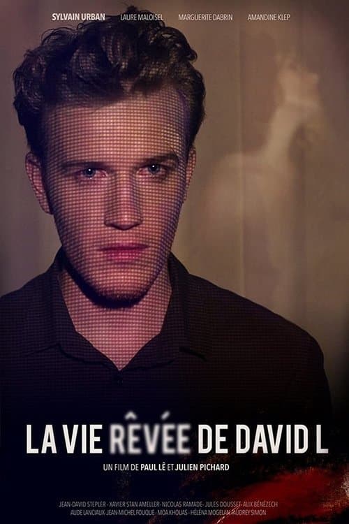 Постер: La vie rêvée de David L