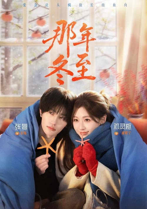 Постер: 那年冬至