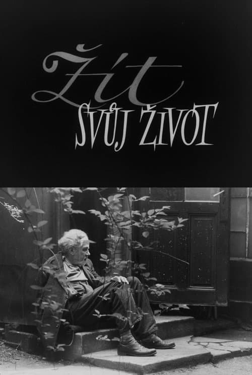Постер: Žít svůj život