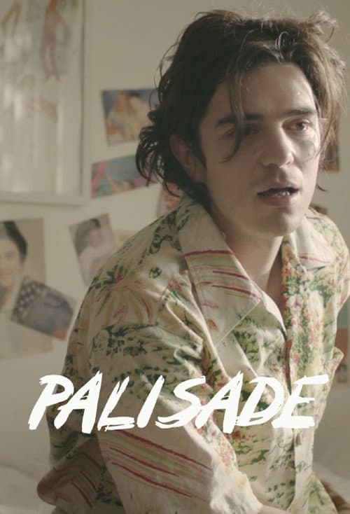 Постер: Palisade