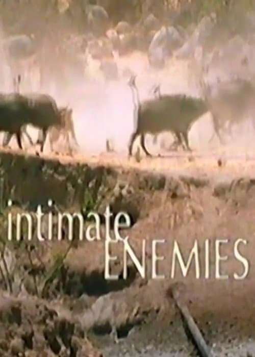 Постер: Intimate Enemies