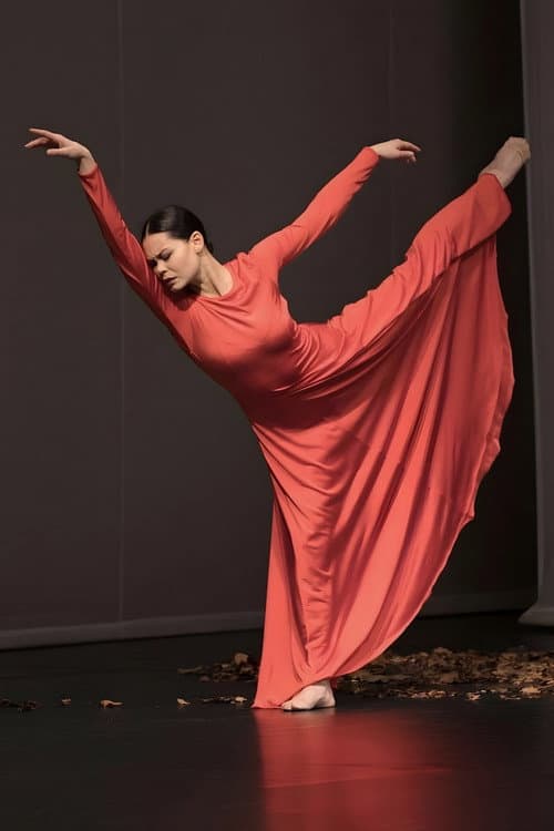 Постер: Adieu l’opéra