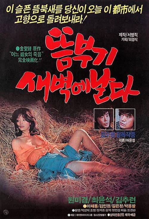 Постер: 뜸부기 새벽에 날다
