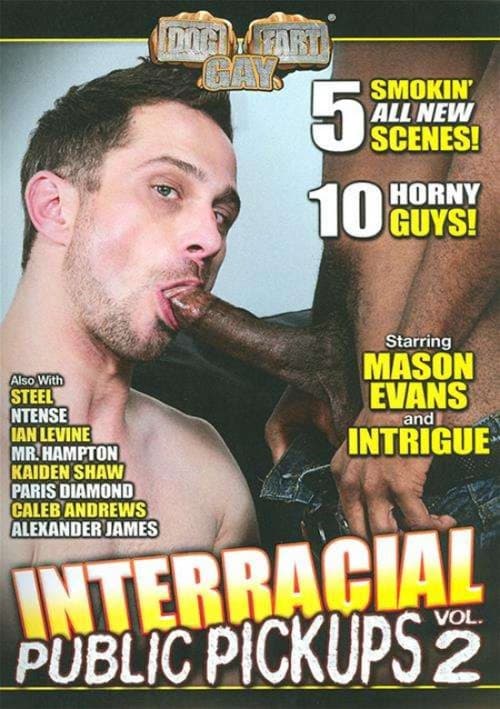 Постер: Interracial Public Pickups 2