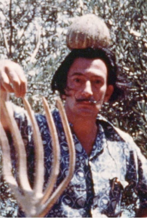Постер: Salvador Dalí Home Movie