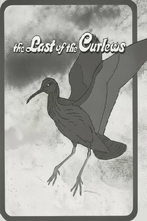 Постер: The Last of the Curlews