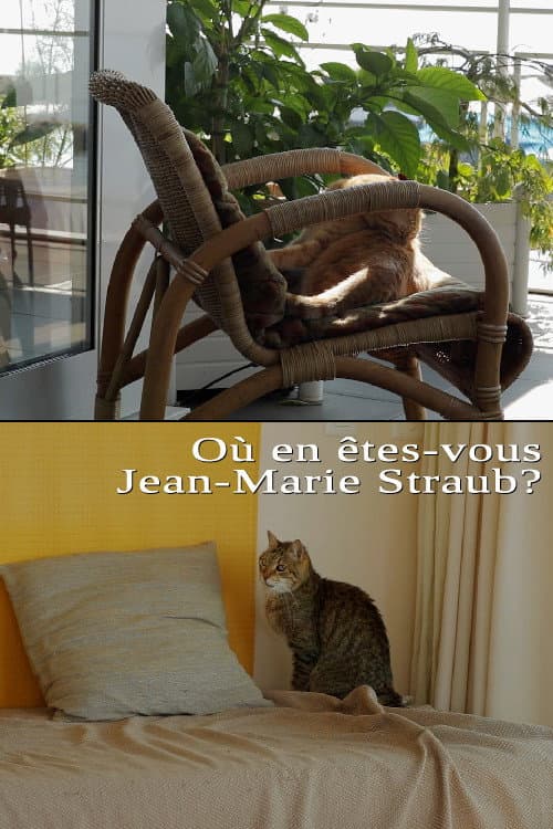 Постер: Où en êtes-vous, Jean-Marie Straub ?