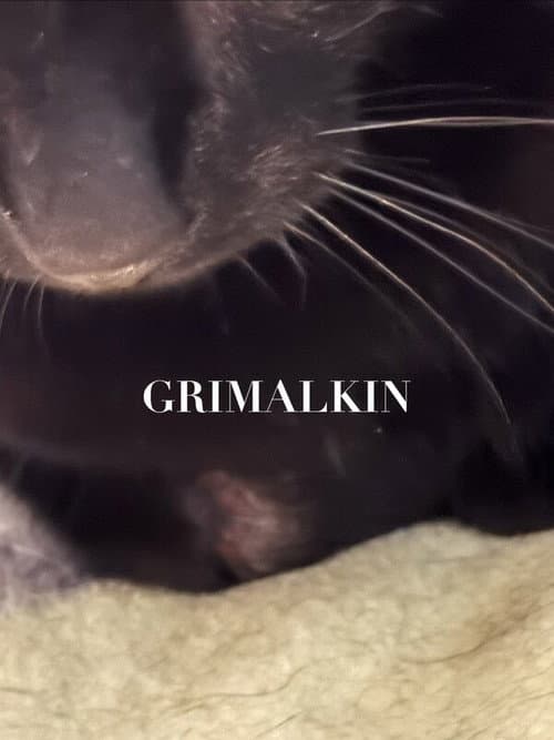 Постер: Grimalkin