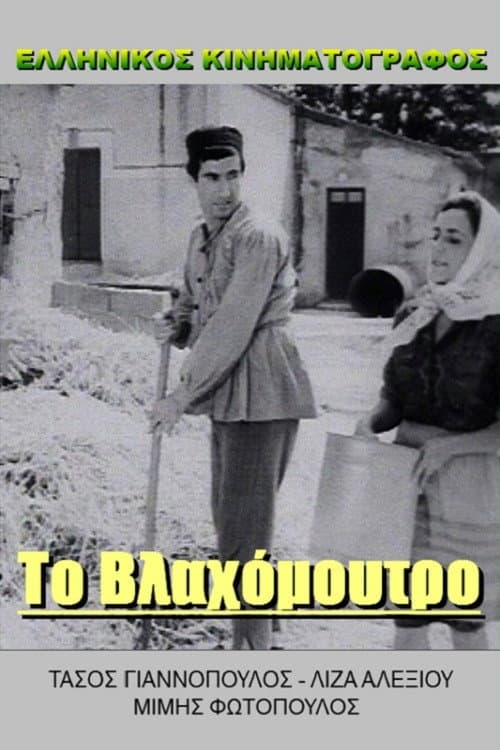 Постер: Πράκτωρ Κίτσος καλεί Γαστούνη