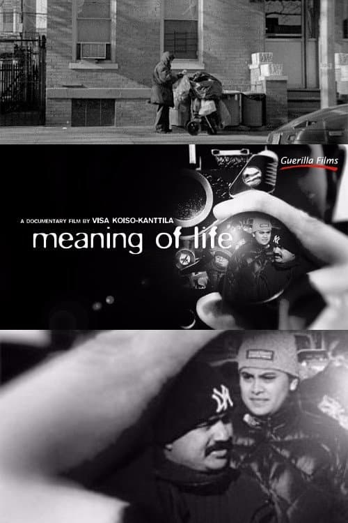 Постер: Meaning of Life
