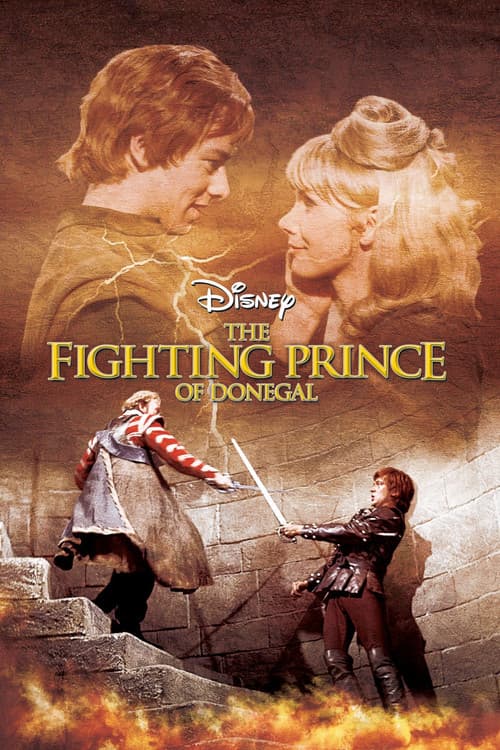 Постер: The Fighting Prince of Donegal