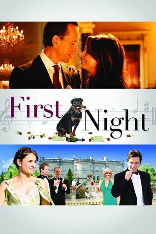 Постер: First Night