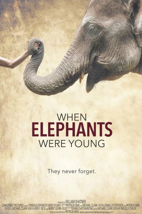 Постер: When Elephants Were Young