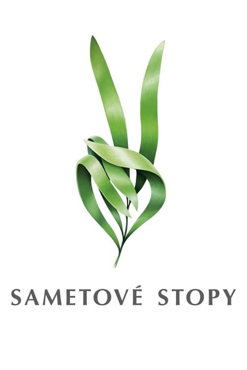Постер: Sametové stopy