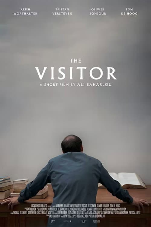 Постер: The Visitor