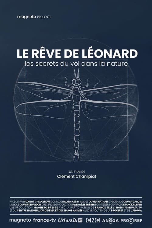 Постер: Le rêve de Léonard : Les secrets du vol dans la nature