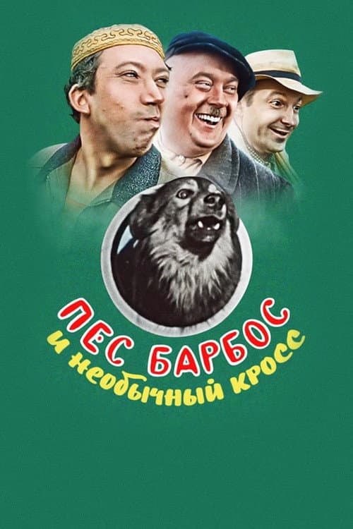 Кадр 5