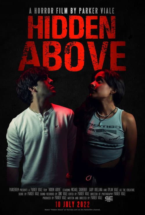 Постер: Hidden Above