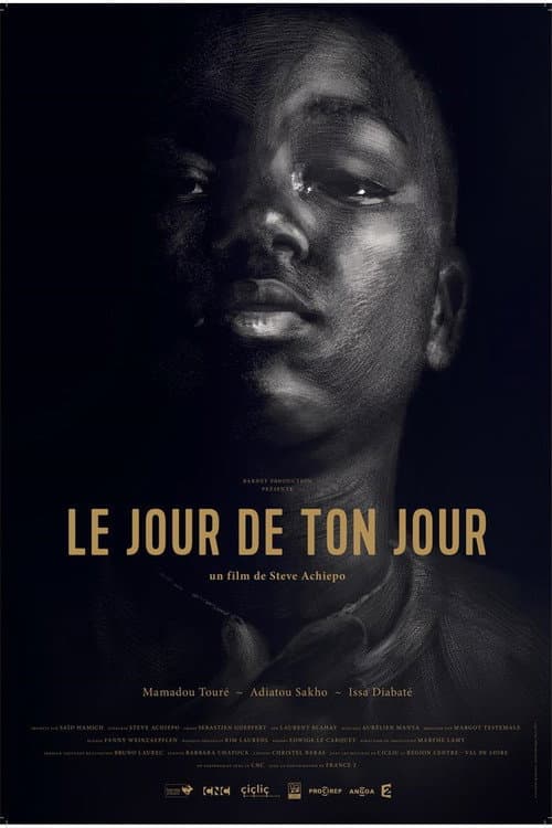 Постер: Le jour de ton jour