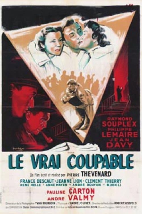Постер: Le vrai coupable