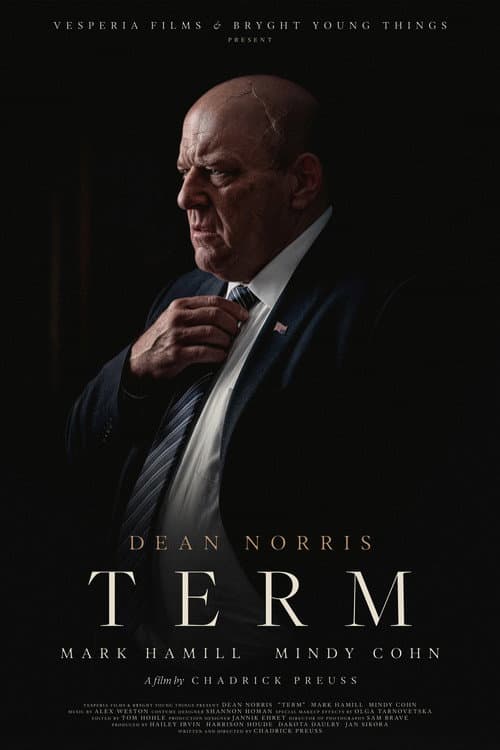 Постер: TERM