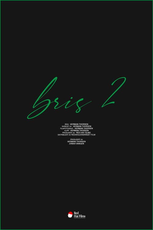 Постер: Bris 2