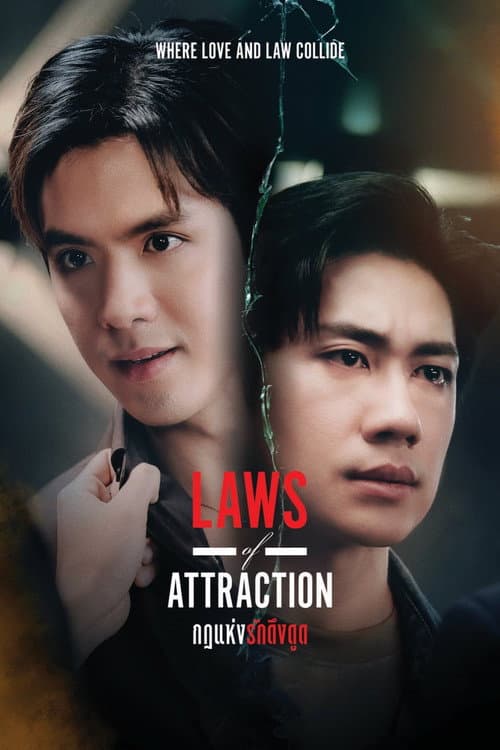 Постер: Laws of Attraction กฎแห่งรักดึงดูด