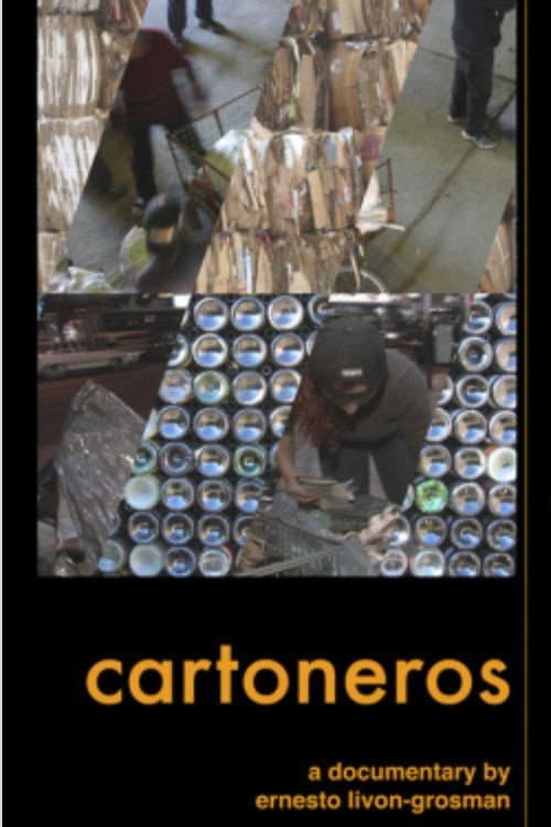Постер: Cartoneros