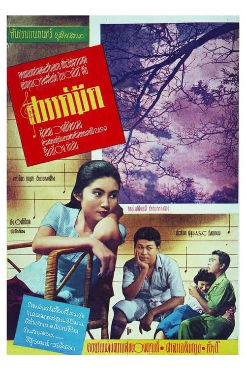 Постер: สวรรค์มืด