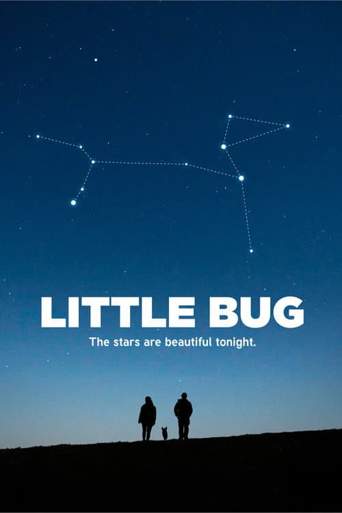 Постер: Little Bug
