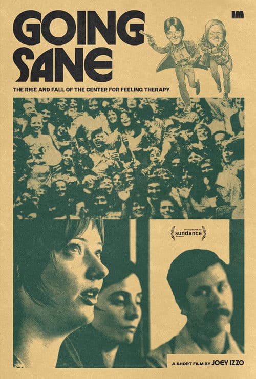 Постер: Going Sane: The Rise and Fall of the Center for Feeling Therapy
