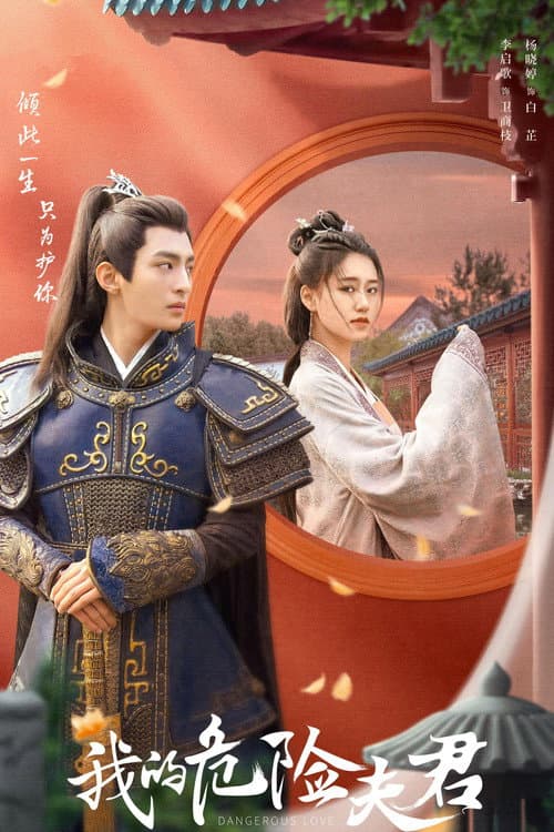 Постер: 我的危险夫君