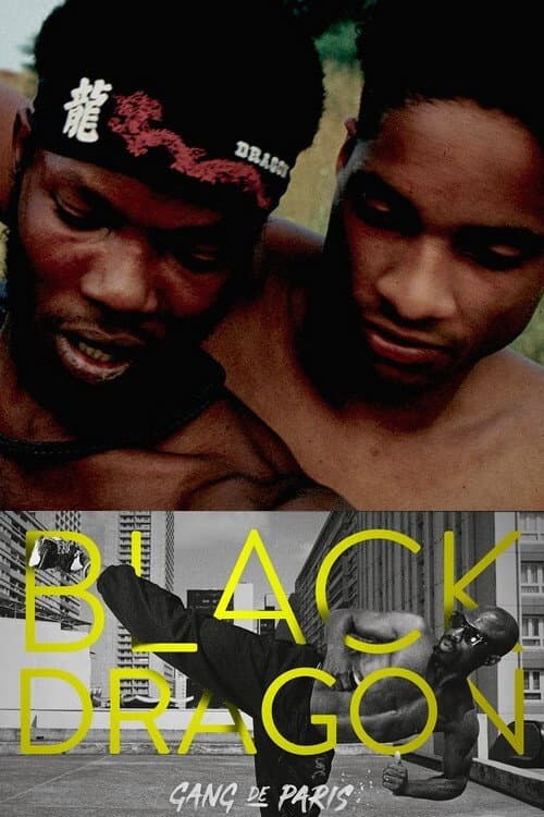 Постер: Gang de Paris : Black Dragon