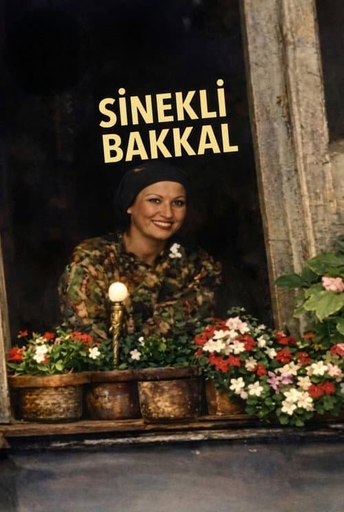Постер: Sinekli Bakkal
