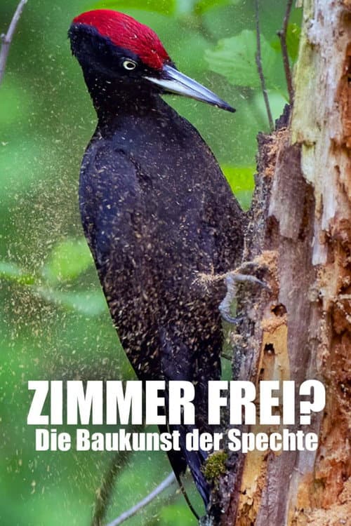 Постер: Zimmer Frei? Die Baukunst der Spechte