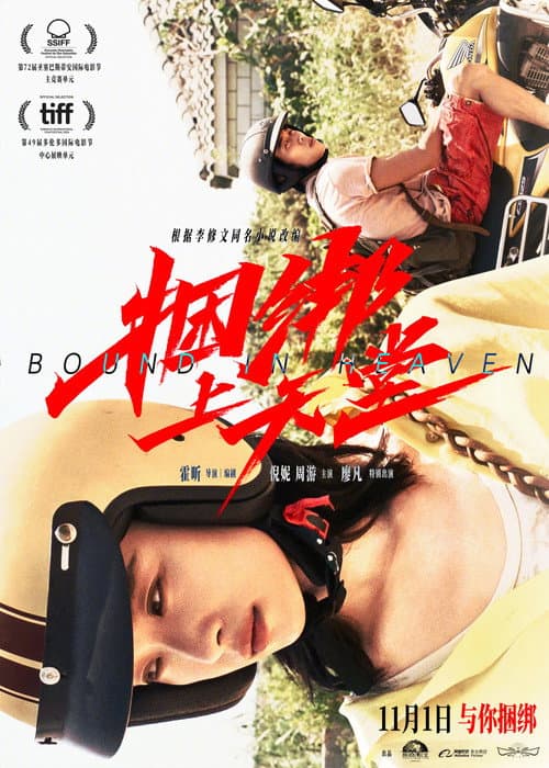 Постер: 捆绑上天堂