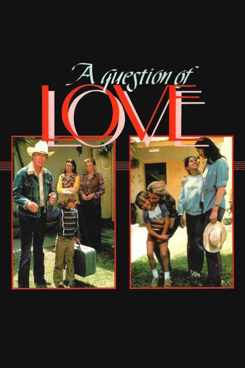 Постер: A Question of Love