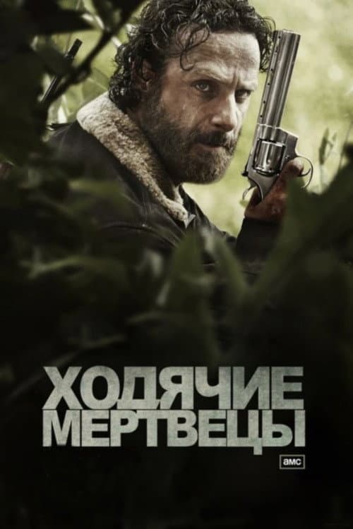 Кадр 7