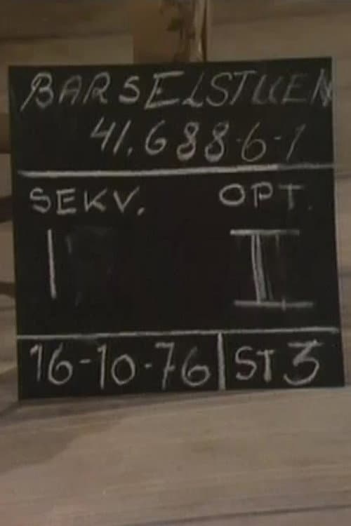 Постер: Barselstuen
