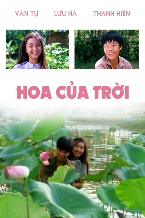 Постер: Hoa Của Trời