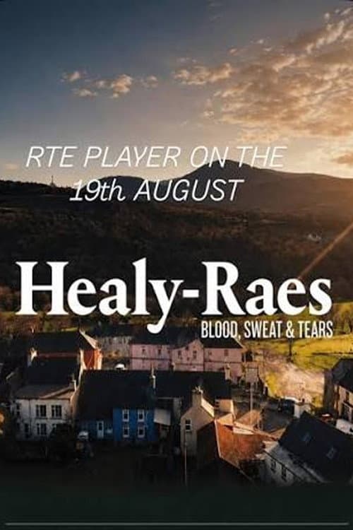 Постер: The Healy-Raes: Blood, Sweat & Tears