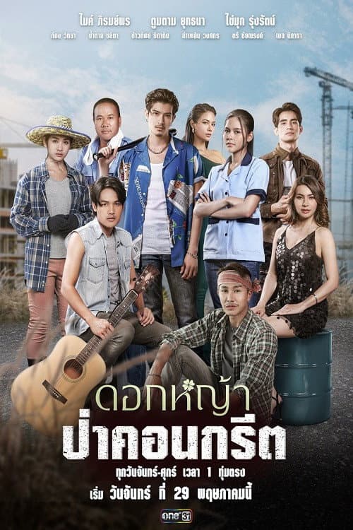 Постер: ดอกหญ้าป่าคอนกรีต