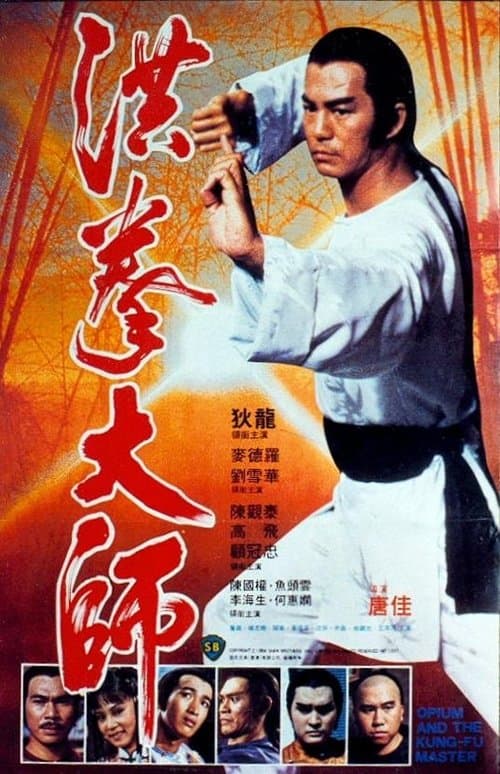 Постер: 洪拳大師