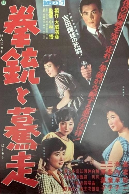 Постер: 拳銃と驀走