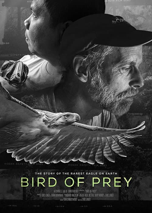 Постер: Bird of Prey